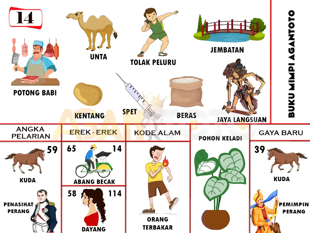 buku mimpi erek erek togel 14